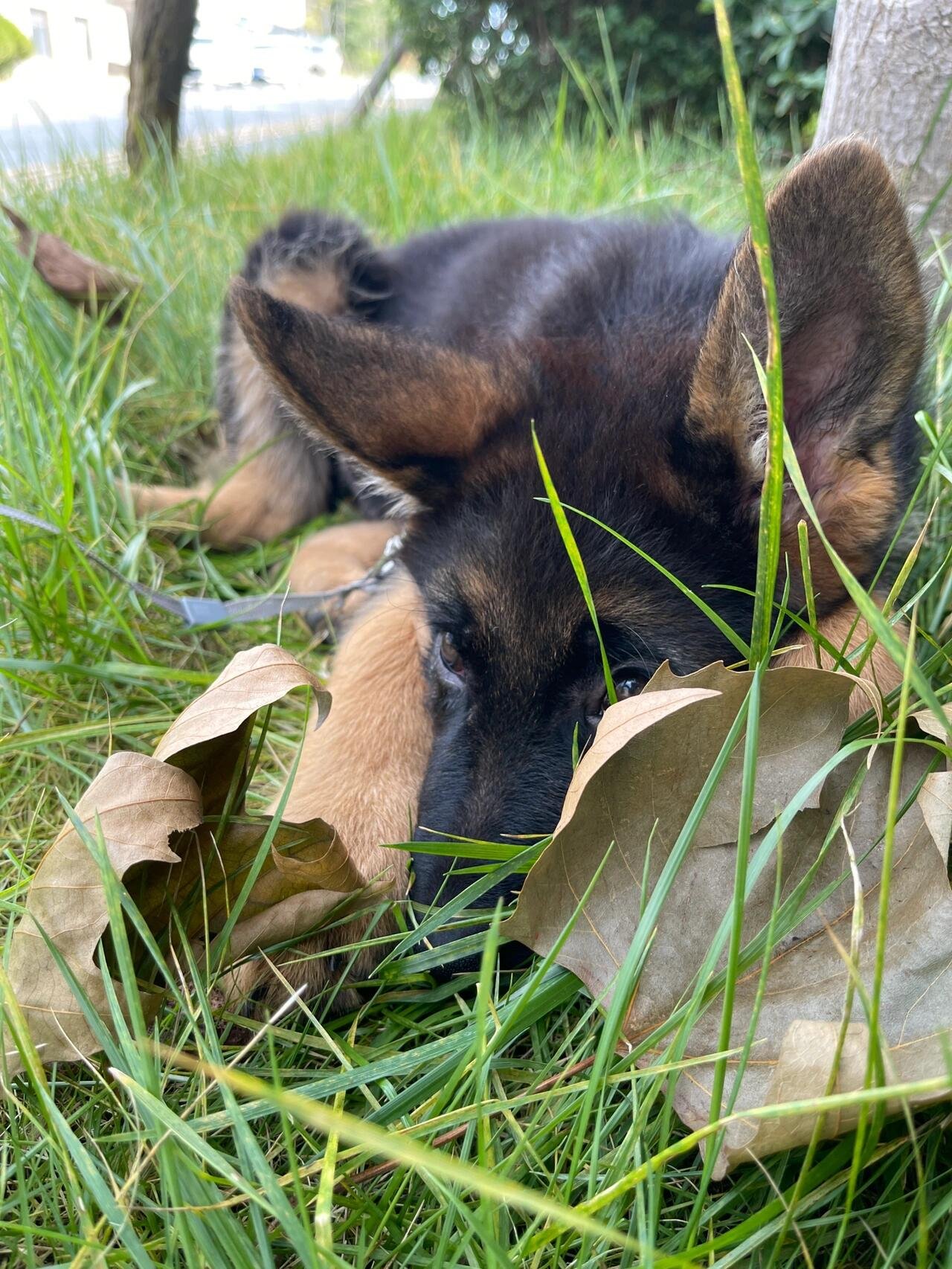 I usually take my dog for a walk 🐶 I enjoy golf ⛳ biking 🚴♀️ scuba diving 🤿 fitness 🏃 reading 📚 I love connecting with genuine people.