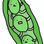 枝まめんさんのプロフィール画像