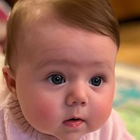 Life’s too short (@fulham1952) 's Twitter Profile Photo