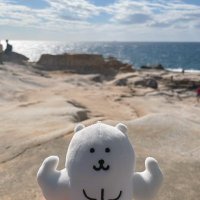 おかゆ。 (@pgk8sm) 's Twitter Profile