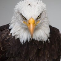 Bsarros (@bsarros) 's Twitter Profile