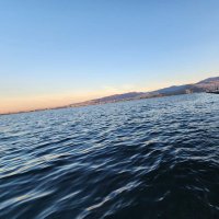 kreon (@d_ronay) Twitter profile photo