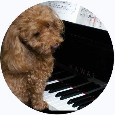 michi3587's profile picture. ORβITヨンフンペンです／2009年5人の東方神起からの、初生JYJ（ジェジュン・ユチョン・ジュンス）は、2010年6月5日、京セラドーム／ORβIT♪EαRTH第9期星🪐／15年前まで、クラシックオンリー🎹14歳のトイプードル溺愛中🐻無言フォロー、失礼します🙇