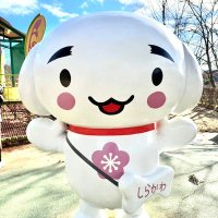 かい (@dku8sphgbg78742) 's Twitter Profile