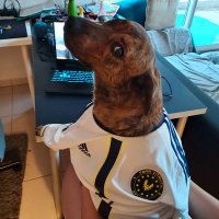 Jubatus (@jubatus98) 's Twitter Profile