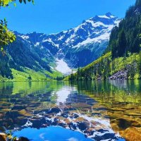 margrate742 (@margrateee742) 's Twitter Profile