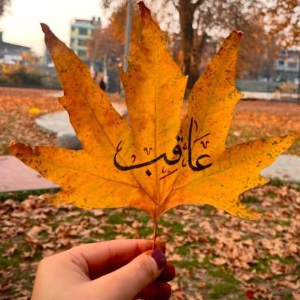 Disaster Management | Geomatics | Climate Sciences | Proud to be Kashmiri | Taqwa | Pluviophile | Introvert