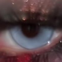 Reemu (@amanybug61485) 's Twitter Profile