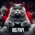 BigPapi89 (@bigpapi89_) Twitter profile photo BigPapi89 (@bigpapi89_) Twitter profile photo