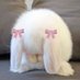 Theresa (@terriegladys) Twitter profile photo Theresa (@terriegladys) Twitter profile photo