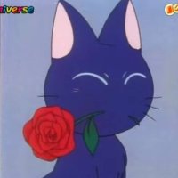 매옹 (@meowwwong) 's Twitter Profile Photo