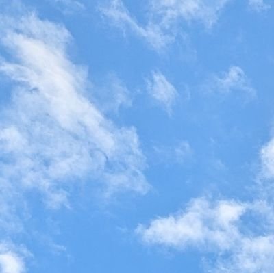 こやぎさんのプロフィール画像