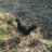 Glten117027's profile image