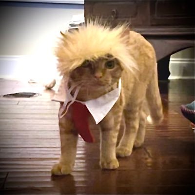 WellWithMySoul7's profile picture. Faith, Family and Friends ♥️In God We Trust♥️MAGA Patriot♥️LouisianaStrong♥️no dm’s please