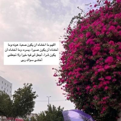 Danh87511673's profile picture. 