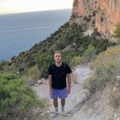 SManoni7960's profile picture. Ph.D Student in EECS @Unibo