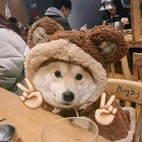 TheDog520 (@thedog520) 's Twitter Profile Photo TheDog520 (@thedog520) 's Twitter Profile Photo