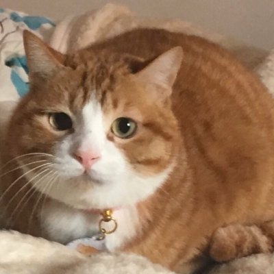 mont9494's profile picture. 2020年入圈。专注链上小市值项目，以小博大。