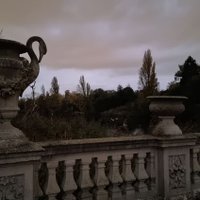 Wox of Foxes (@csecgpp) 's Twitter Profile