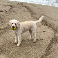 🇺🇸FIN🇺🇸 (@slimefin) 's Twitter Profile
