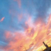 blue_sky (@yamizuk1) 's Twitter Profile