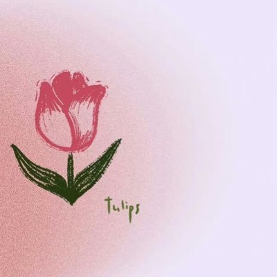 hn9431291's profile picture. 