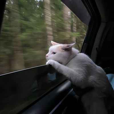 mylittledep's profile picture. 🎀🌷🐱✨