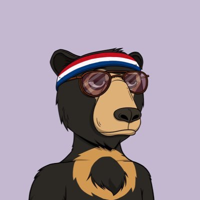 Chaotic and Evil.
Bears and Apes
Skeletons and Magic
#Guardian of @Solflare_wallet