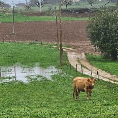 Jeune agriculteur. Je crois en ma passion.