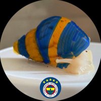 🇹🇷 Fenerli Salyangoz Soner 🇹🇷 (@salyangozsoner) Twitter profile photo