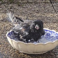 sagapö (@sagap32672003) 's Twitter Profile