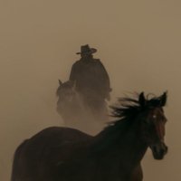 Westley (@kleenex4tweeps) 's Twitter Profile