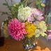 Flora (@lorraines_veg) Twitter profile photo Flora (@lorraines_veg) Twitter profile photo