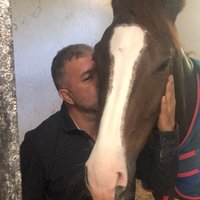 Hüseyin Kırbaş (@deepsteps33) 's Twitter Profile