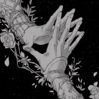 Kolby (@kolbyass) 's Twitter Profile