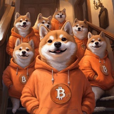 DOGINSATOSHI's profile picture. Waiting for that day...