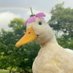 Mika_Hakkinen (@sunset_existss) Twitter profile photo Mika_Hakkinen (@sunset_existss) Twitter profile photo