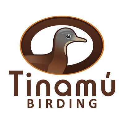Tinamú Birding Nature Reserve especializados en observación y fotografía de aves, +270 especies registradas. Paradise for Birdwatching in Caldas - Colombia