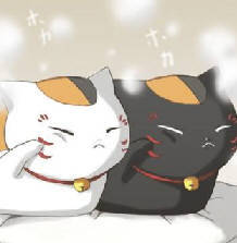 abut2200book's profile picture. 情報収集に活用しています ＴＰＰも増税も反対、脱原発 動物虐待反対。共生主義バンザイ。新自由主義・自民に反対