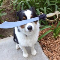 Jacob Miller (@jacobharold) 's Twitter Profile