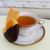 稚井川湊 (@cachico_24y) Twitter profile photo