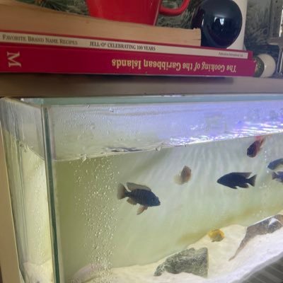 biatchgoeswild's profile picture. รักเอเนสเหมือนควาย