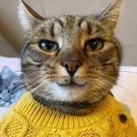 eren (@erenn879) Twitter profile photo