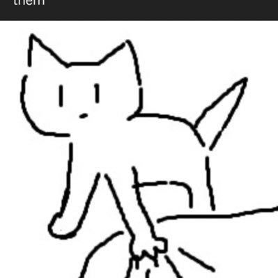 LazyC0ding's profile picture. Cat