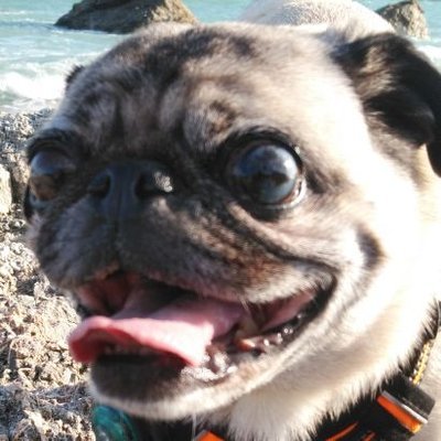 DallasDuy957's profile picture. To succeed in life, you need three things: a wishbone, a backbone, and a funny bone.