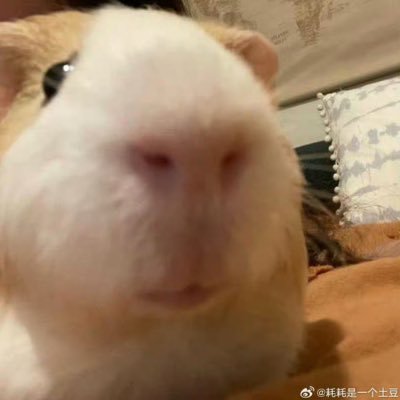 MORASPACEさんのプロフィール画像