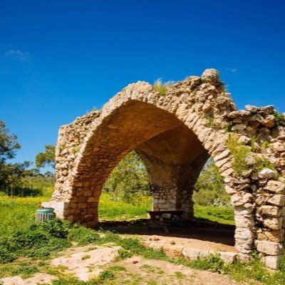 thelionx7's profile picture. 