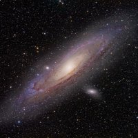 Tell the truth (@sparling_t22344) 's Twitter Profile