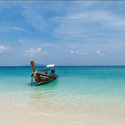 dengdanmin's profile picture. 