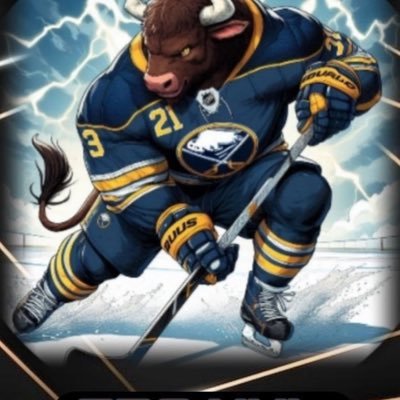Tipster NHL depuis plus de 5 ans ici on braque les book 💶